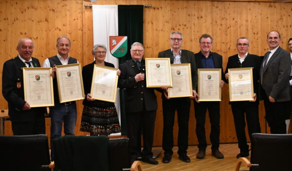 Ehrung Ehrennadel