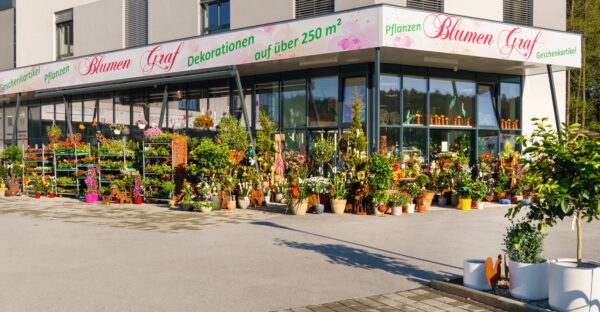 Blumen Graf foto1