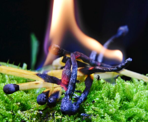 flame-of-fire-g1ad0a68c0_1920