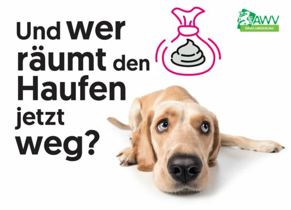 AWV Hunde Info