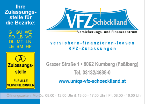 VFZ Versicherung Logo