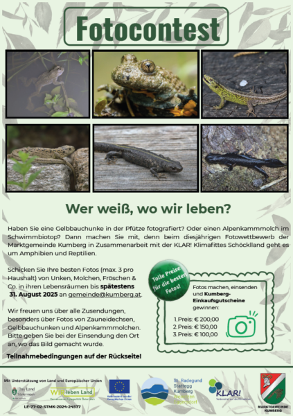 fotocontest frösche