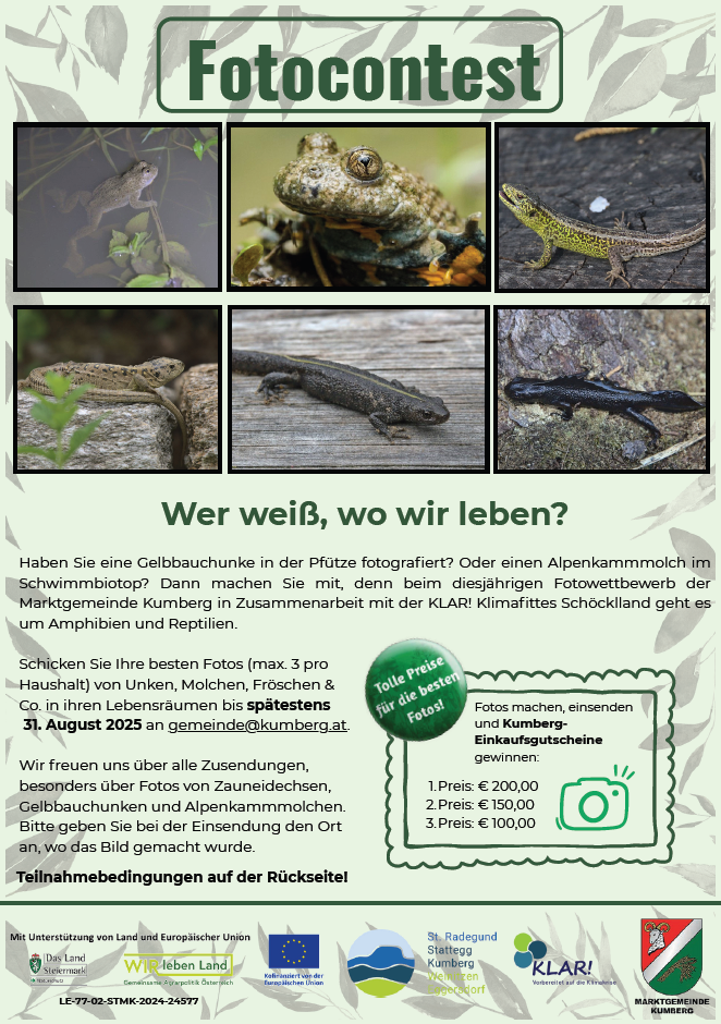 fotocontest frösche