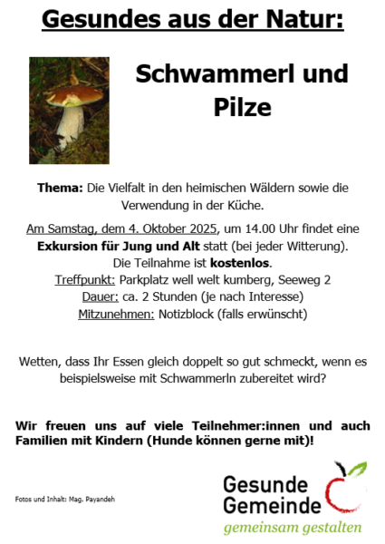 pilze und schwammerl2