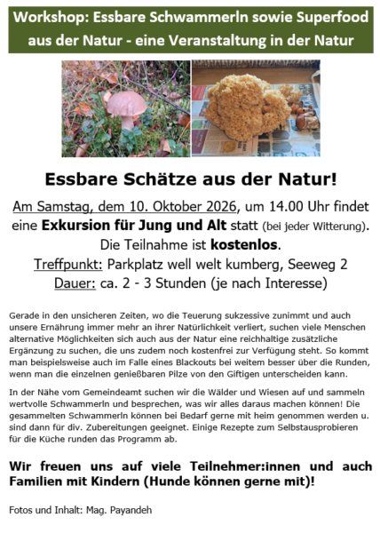 Herbst, essbare Schwammerl für die Küche, 2026 10 10